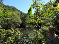 Mohican River branch